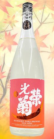 光栄菊 黄昏オレンジ