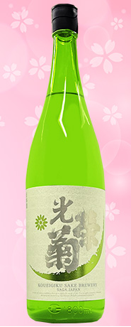 光栄菊 アナスタシアグリーン