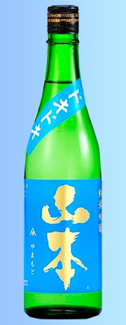 山本ドキドキ